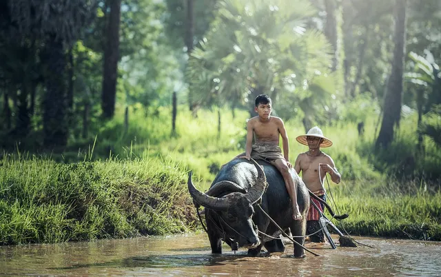 julukan negara indonesia