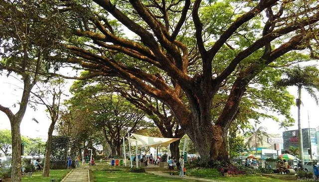 Taman Trunojoyo