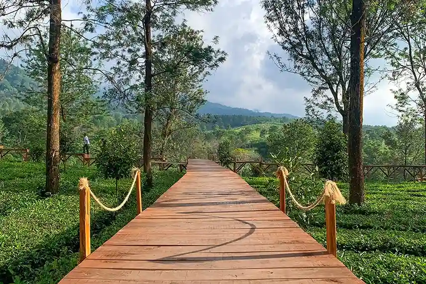 tempat wisata di bogor yang sejuk