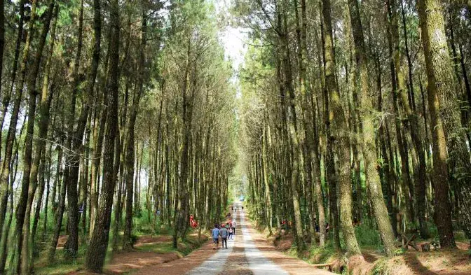 tempat wisata di bogor yang sejuk