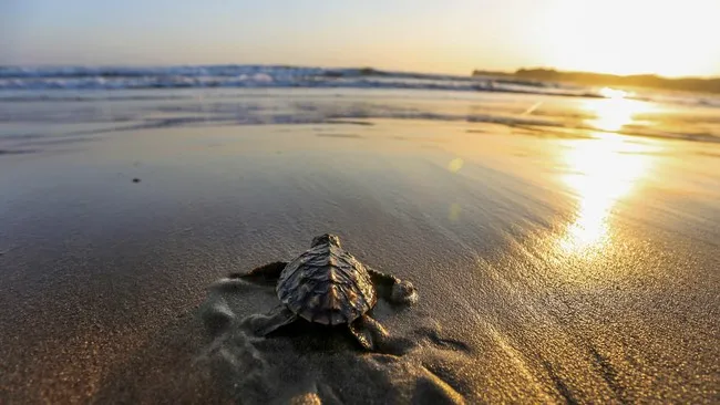 tempat wisata sukabumi